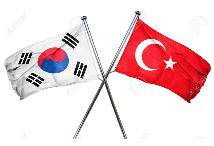 모발 이식: 터키 vs. 한국 – 종합적인 관점